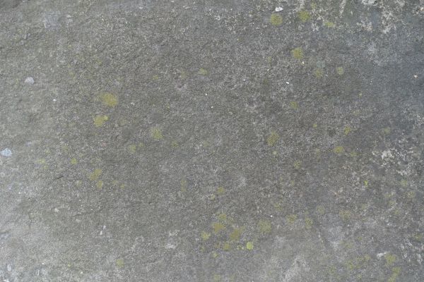 Slab Staining Service in Bellevue